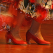 Flamenco 